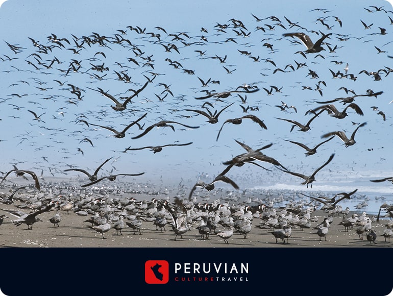 Experiencias especiales - Agencia de Viajes y Operador Turístico en Arequipa - Perú